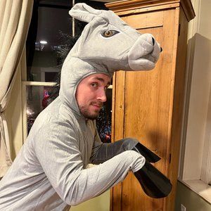 Donkey Onesie Costume
